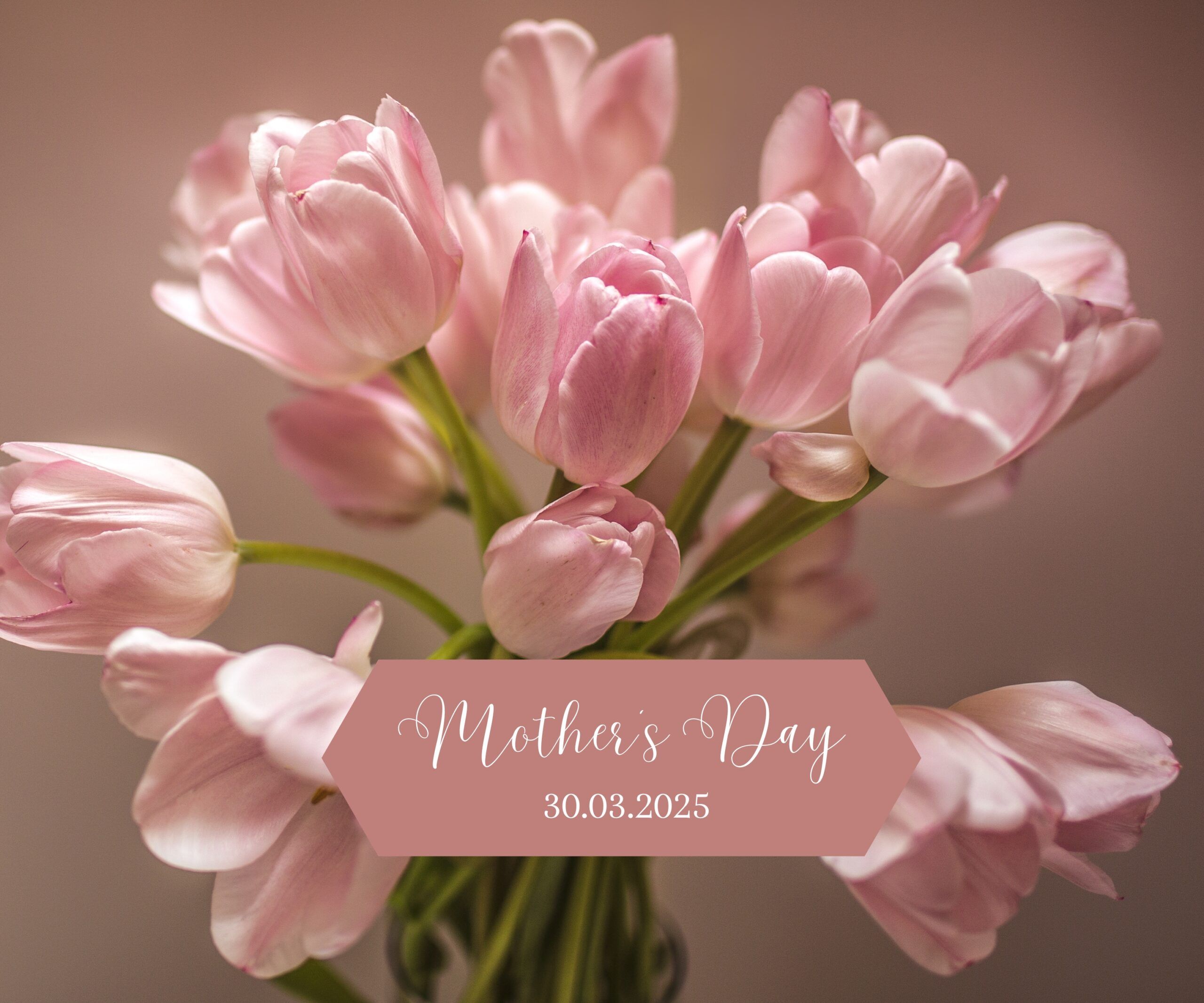 Celebrate Mother’s Day at the VSC image